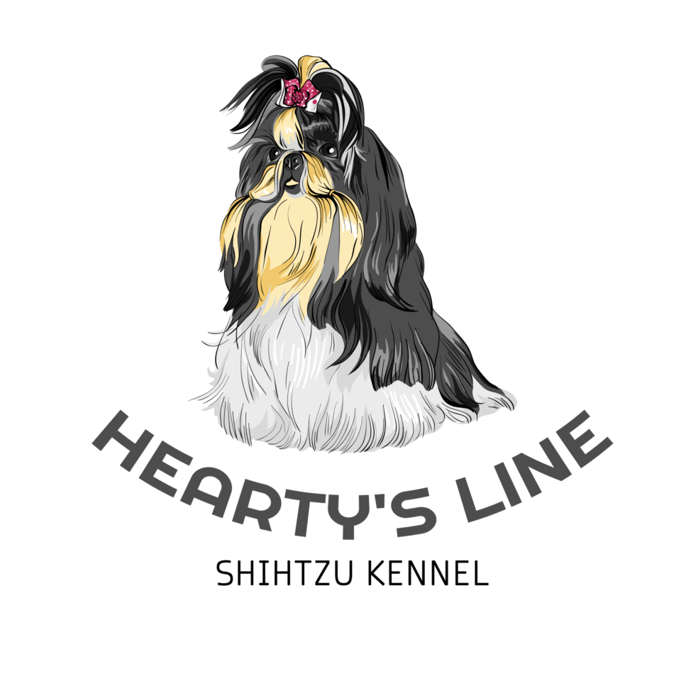 Custom digital illustration of a black and tan Shih Tzu with a pink bow for Hearty's Line Kennel logo, designed by AHSANZ.